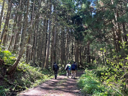 2026年4月12日に生薬ハイキングに行ってきました